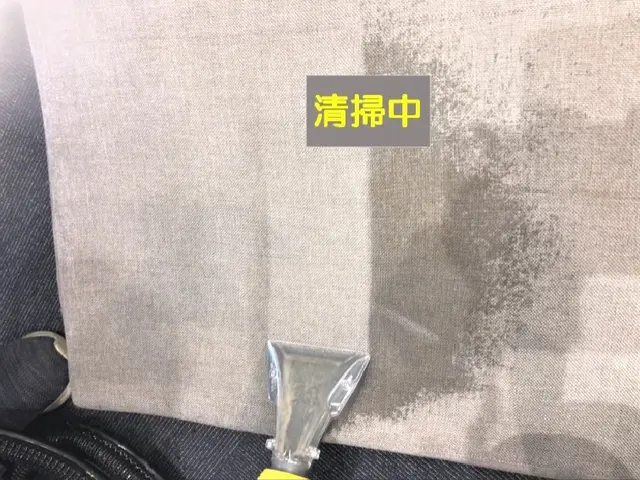 パワフルなドイツ製機材でリフレッシュ洗浄！丁寧な仕上作業で清潔なソファに復元！サービスの画像