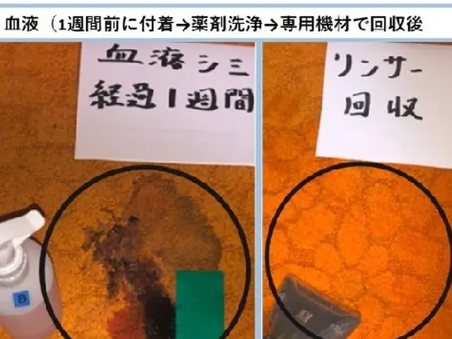 パワフルなドイツ製機材でリフレッシュ洗浄！丁寧な仕上作業で清潔なソファに復元！サービスの画像