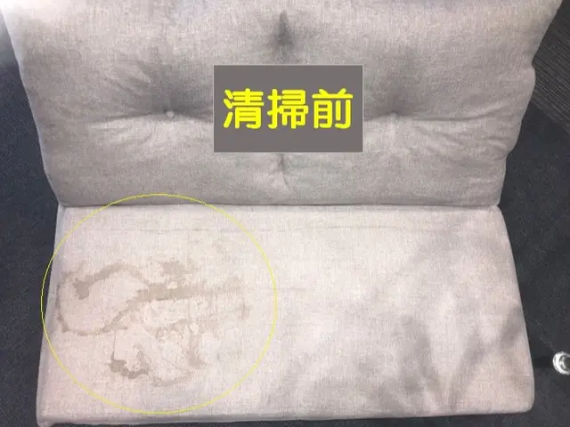 パワフルなドイツ製機材でリフレッシュ洗浄！丁寧な仕上作業で清潔なソファに復元！サービスの画像