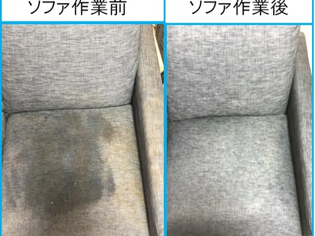 パワフルなドイツ製機材でリフレッシュ洗浄！丁寧な仕上作業で清潔なソファに復元！サービスの画像