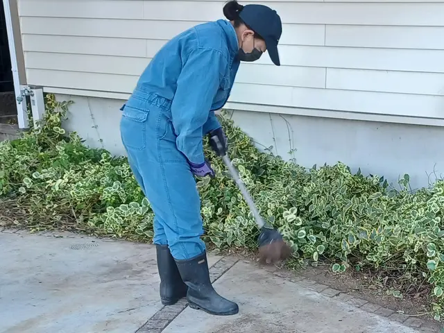 おうちの中を【スッキリ】しませんか♪︎　◆家事代行◆可能な限り対応しますサービスの画像