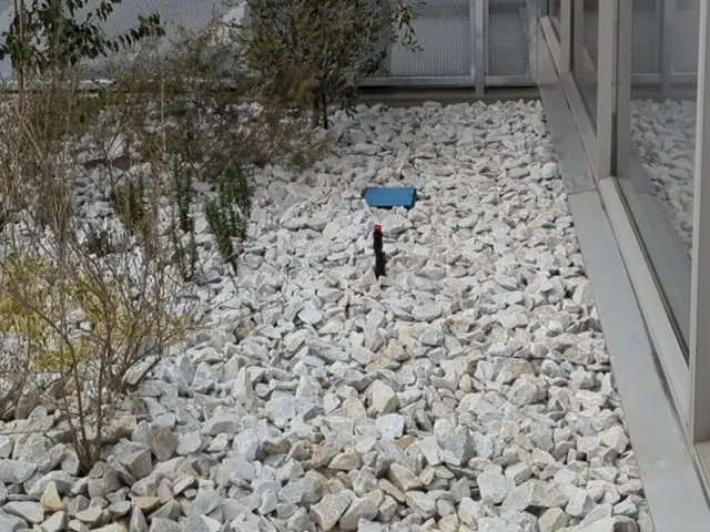 【女性スタッフ在籍】損害保険加入済◉大手での作業経験もあります！サービスの画像