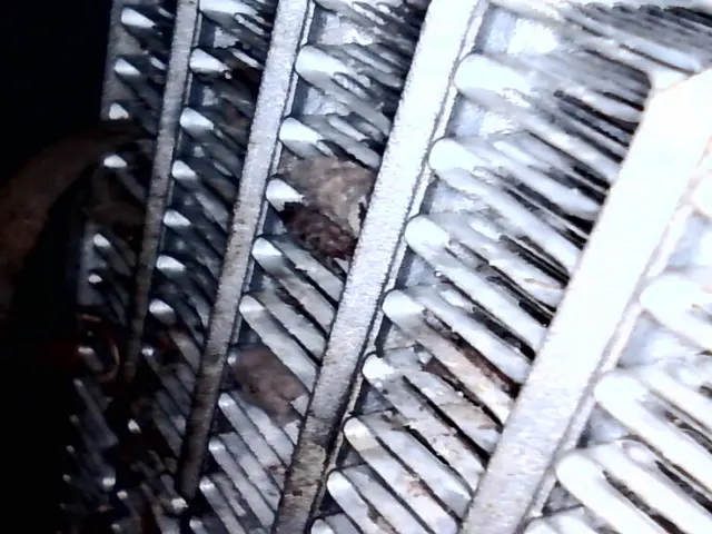 スプレーではなく、エバポレータとブロアファンの高圧洗浄で臭い解消！損害賠償加入！サービスの画像