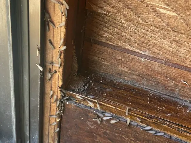 【初出店の為今だけ低価格】10年以上の実績☆定期点検付き5年保証☆防カビ防腐対応サービスの画像