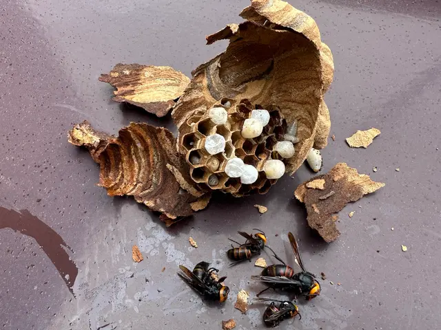 ☆業界最安値☆  リピート多数　迷ったらこちらへ　船橋市から伺います！サービスの画像