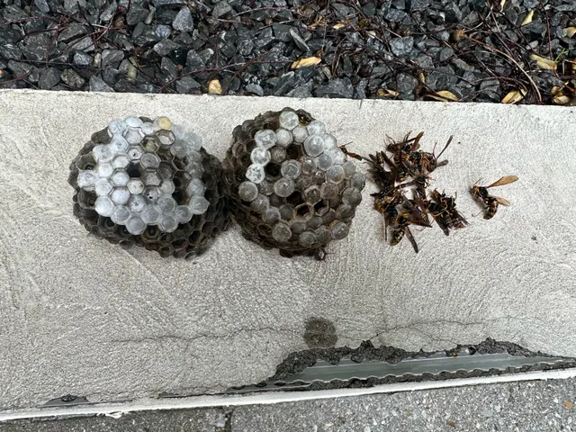 ☆業界最安値☆  リピート多数　迷ったらこちらへ　船橋市から伺います！サービスの画像