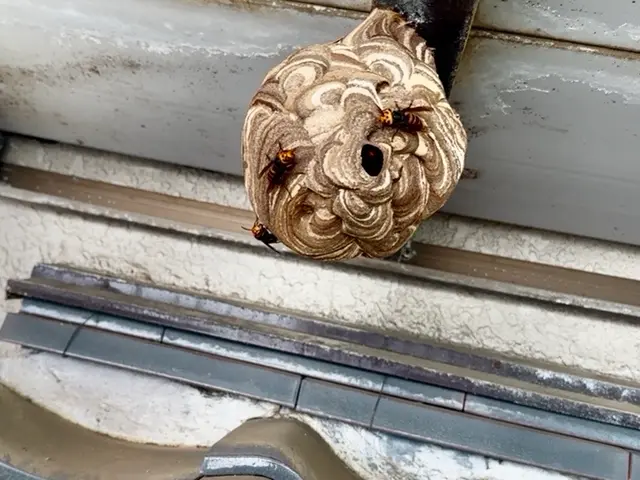 ☆業界最安値☆  リピート多数　迷ったらこちらへ　船橋市から伺います！サービスの画像