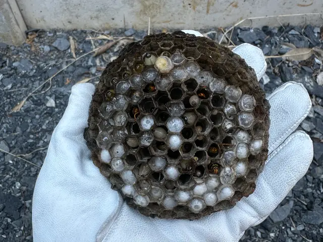 ☆業界最安値☆  リピート多数　迷ったらこちらへ　船橋市から伺います！サービスの画像