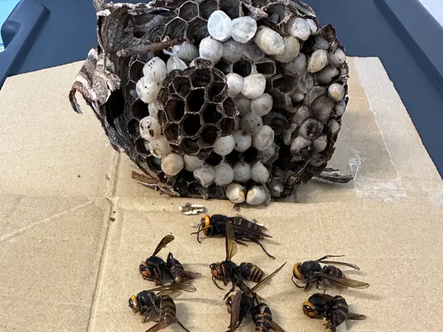 ☆業界最安値☆  リピート多数　迷ったらこちらへ　船橋市から伺います！サービスの画像