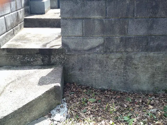 【実績豊富な老舗店舗】全て自社スタッフが丁寧に対応します！お任せください！サービスの画像