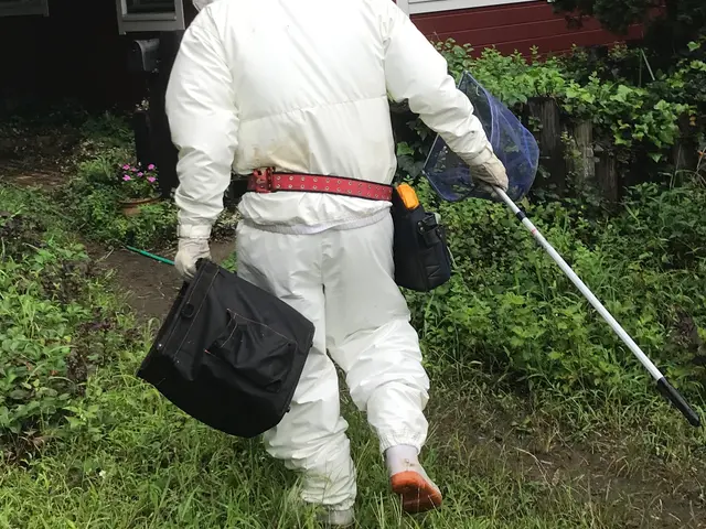 【害虫防除専門店にお任せ下さい】損害保険加入済◉命をかけて作業させていただきますサービスの画像