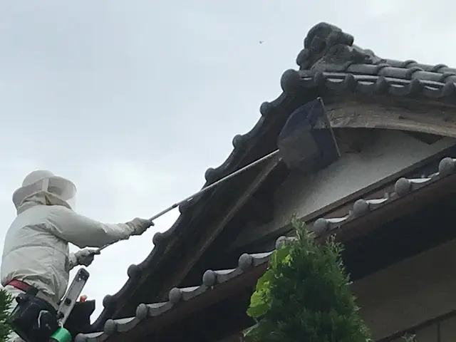 【害虫防除専門店にお任せ下さい】損害保険加入済◉命をかけて作業させていただきますサービスの画像