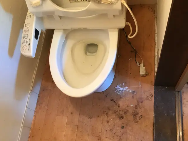 エコ洗剤使用、業界10年の実績、非営利団体NPO法人のハウスクリーニング士ですサービスの画像