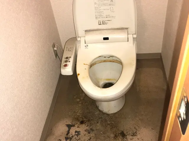 エコ洗剤使用、業界10年の実績、非営利団体NPO法人のハウスクリーニング士ですサービスの画像