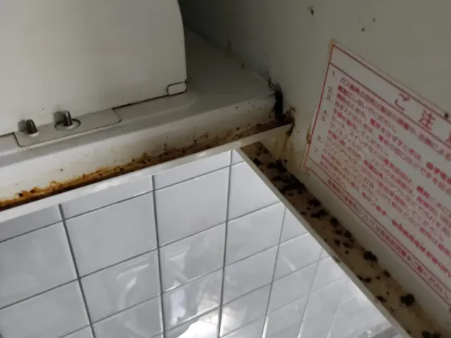 レンジフード（換気扇）クリーニングサービスの画像