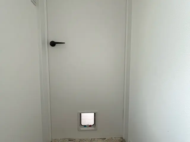 ペットドア取り付け！サービスの画像