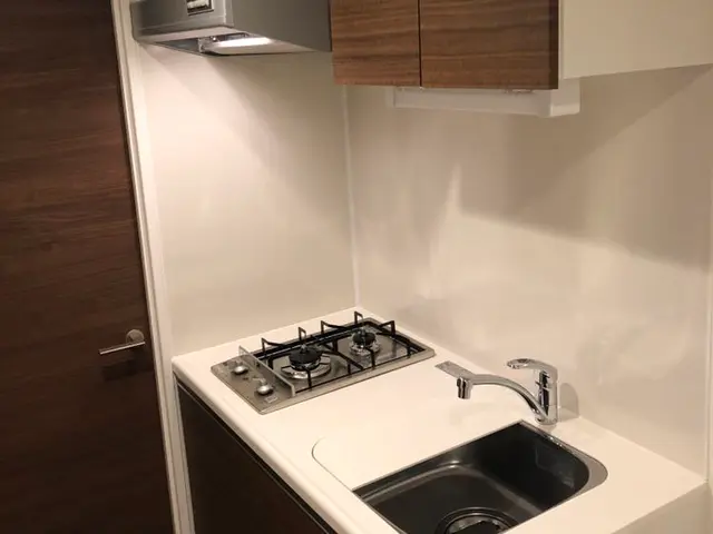 《一年中繁忙期店》知る人ぞ知る掃除屋、全ては新生活を迎える方のために。サービスの画像