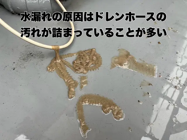 【特別価格】非喫煙者◎丁寧さには自信があります！☆消臭抗菌コート無料サービスサービスの画像