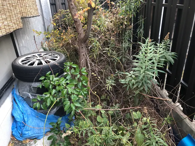 経験豊富 | 丁寧な草むしり作業は当店にお任せください。除草剤は無料で散布！サービスの画像