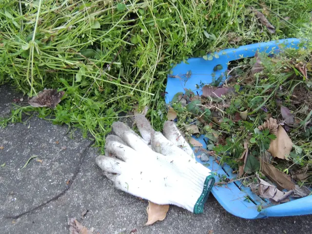 経験豊富 | 丁寧な草むしり作業は当店にお任せください。除草剤は無料で散布！サービスの画像