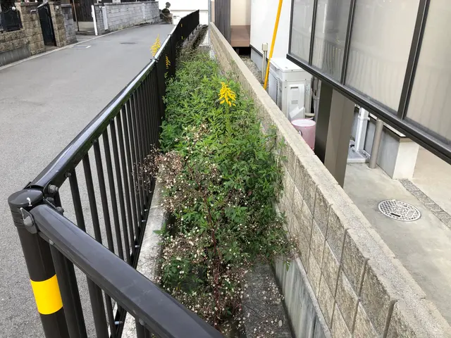 経験豊富 | 丁寧な草むしり作業は当店にお任せください。除草剤は無料で散布！サービスの画像