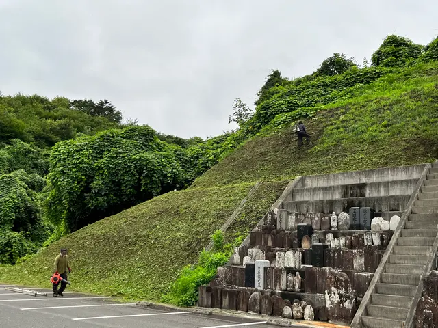 美里町の大煌です！どんな状況にも対応した草刈り！樹木の伐採など何でもご相談下さいサービスの画像