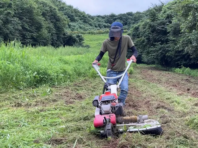美里町の大煌です！どんな状況にも対応した草刈り！樹木の伐採など何でもご相談下さいサービスの画像
