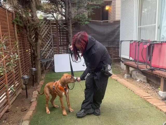 万全の研修体制◎損害保険加入済みで安心◎サービスの画像