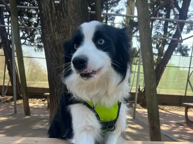 万全の研修体制◎損害保険加入済みで安心◎サービスの画像