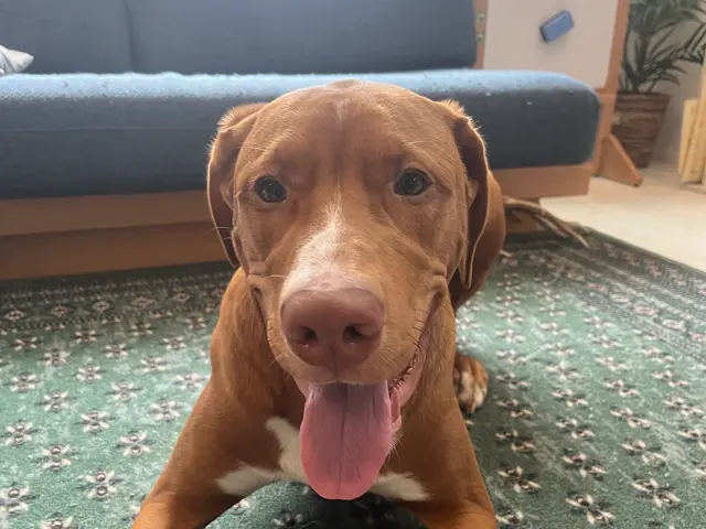 万全の研修体制◎損害保険加入済みで安心◎サービスの画像