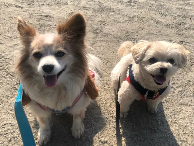 万全の研修体制◎損害保険加入済みで安心◎サービスの画像