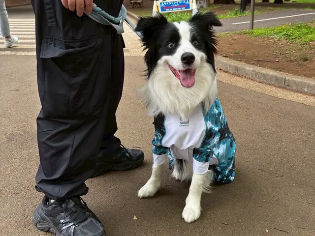 万全の研修体制◎損害保険加入済みで安心◎サービスの画像