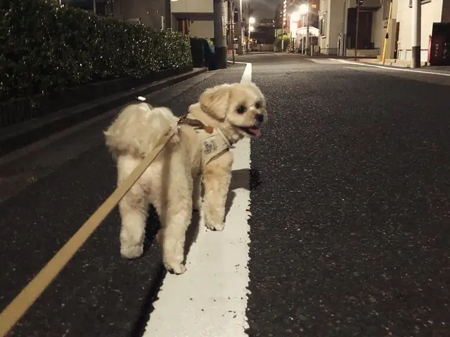 万全の研修体制◎損害保険加入済みで安心◎サービスの画像