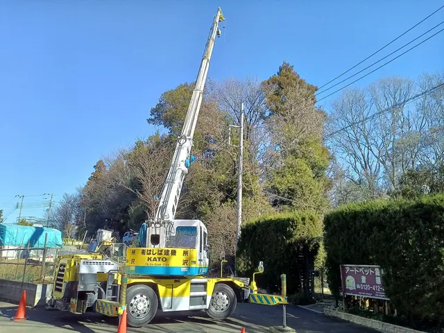 高木〜小さな木まで一本からお受けさせて頂きます！【損害保険加入済み】サービスの画像