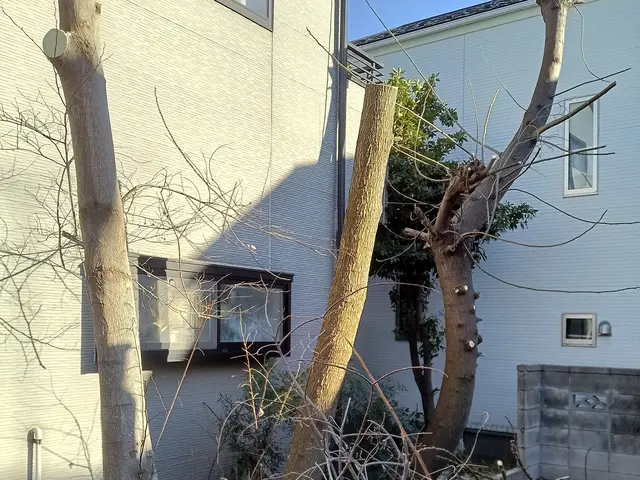 高木〜小さな木まで一本からお受けさせて頂きます！【損害保険加入済み】サービスの画像