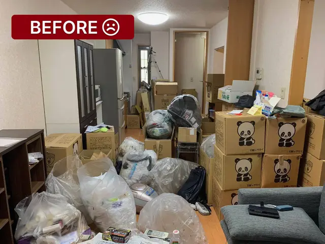 【2名訪問】短時間でお部屋をスッキリしたい方にオススメの片づけサポートサービスの画像