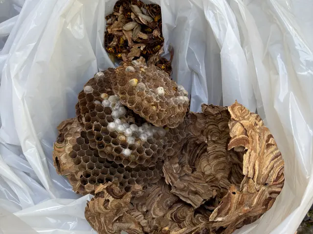 大手経験を活かした店長直接対応！アフターフォロー多数充実の訪問サービスサービスの画像