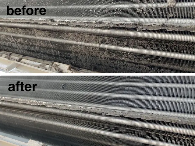 人に優しい【天然植物洗剤】を使用。お掃除後の【消臭除菌】無料。☆複数台割引き有サービスの画像