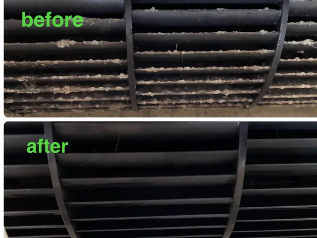 人に優しい【天然植物洗剤】を使用。お掃除後の【消臭除菌】無料。☆複数台割引き有サービスの画像