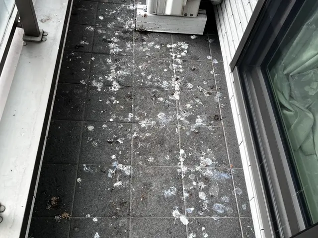 【現地調査無料！】除菌殺菌消毒から防鳥ネットの対策施工まで！ぜひお問合せ下さい！サービスの画像