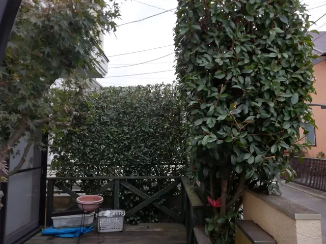 【地域密着】業界30年の経験実績！ぜひ、一度プロの技をお試しください!サービスの画像