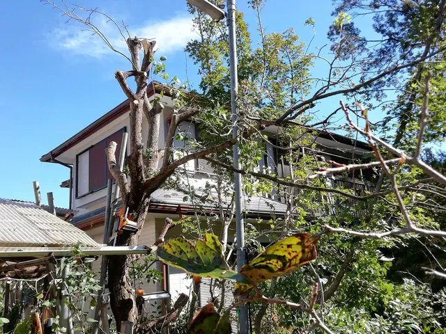 【地域密着】業界30年の経験実績！ぜひ、一度プロの技をお試しください!サービスの画像