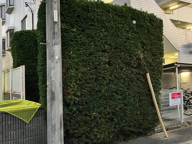 迅速・丁寧・安全な作業で、あなたの庭を美しく変えます。サービスの画像