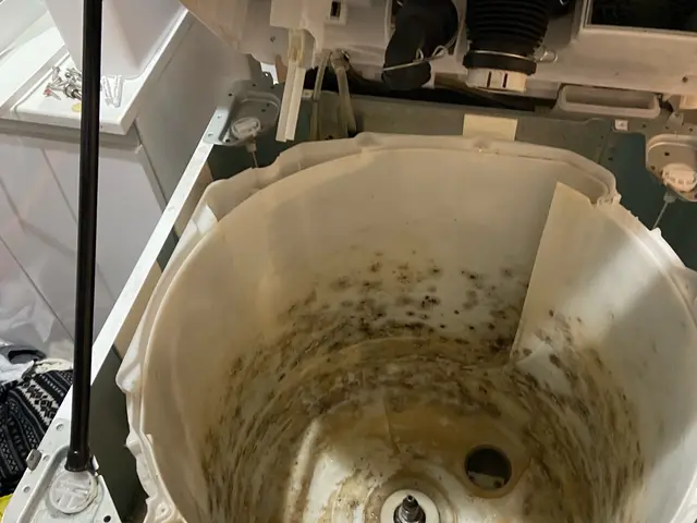 【ビートウォッシュ・10kg以上対応店】PayPay決済◎お子様やペット大歓迎！サービスの画像