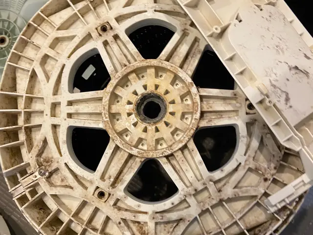 【ビートウォッシュ・10kg以上対応店】PayPay決済◎お子様やペット大歓迎！サービスの画像