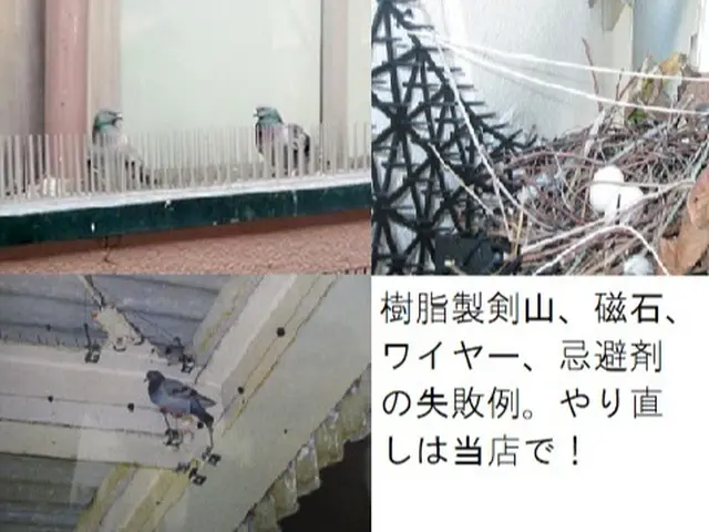 口コミ、顧客満足賞！べランダ横幅4mまで高品質ネット設置+清掃消毒34800円サービスの画像