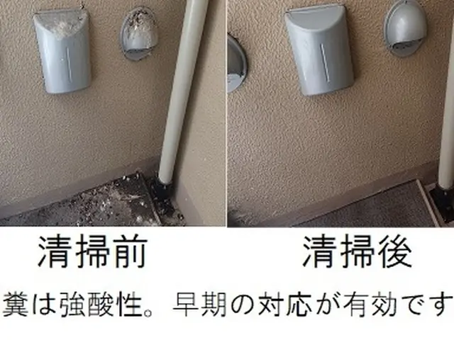 口コミ、顧客満足賞！べランダ横幅4mまで高品質ネット設置+清掃消毒34800円サービスの画像