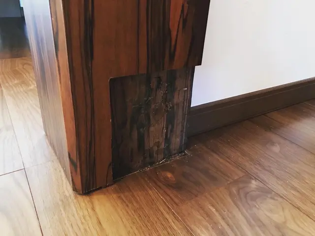 【安心の損害保険加入済み！】お気軽にご相談ください！！サービスの画像