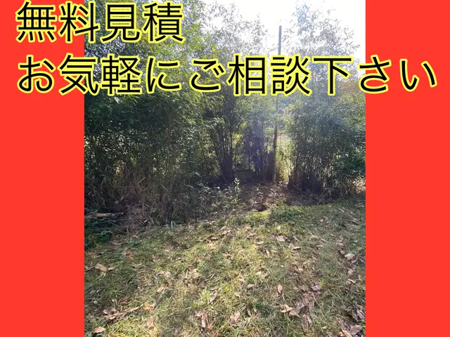 倉庫物置解体撤去、物置の中のゴミも全てお任せ下さい！見積無料お気軽にご相談下さいサービスの画像