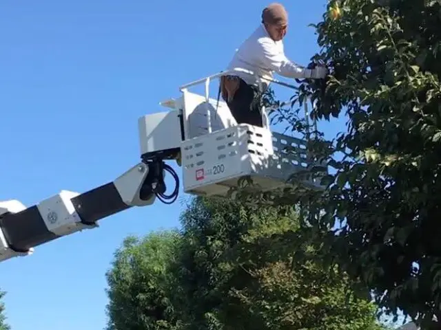 【前橋市発】損害保険加入済み◎年中無休で営業中！女性スタッフも同行可能！サービスの画像